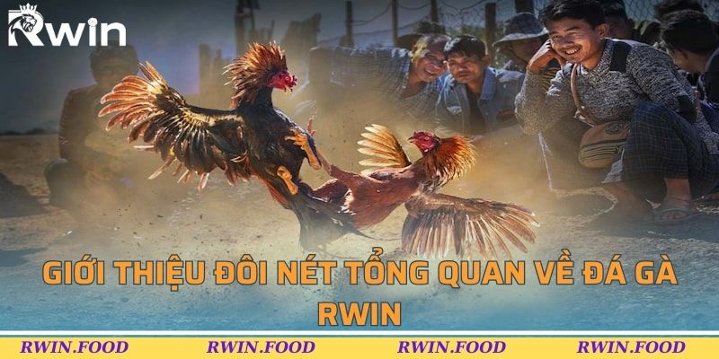 Giới thiệu đôi nét tổng quan về đá gà BL555