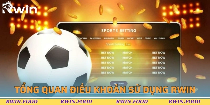Tổng quan thông tin về điều khoản sử dụng BL555